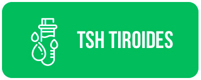 img11 muestra TSH tiroides