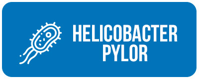img16 HelicoBacter Pylor